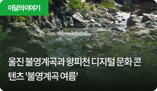 울진 불영계곡과 왕피천 디지털 문화 콘텐츠 '불영계곡 여름'
