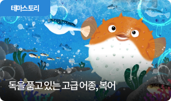 독을 품고 있는 고급 어종, 복어