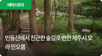 민둥산에서 친근한 숲길로 변한 제주시 오라 민오름