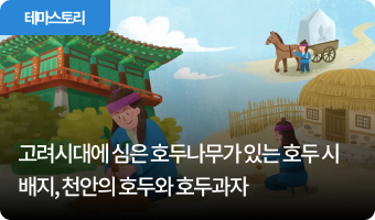 고려시대에 심은 호두나무가 있는 호두 시배지, 천안의 호두와 호두과자