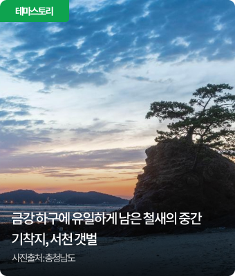 금강 하구에 유일하게 남은 철새의 중간기착지, 서천 갯벌