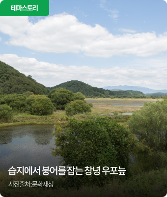 습지에서 붕어를 잡는 창녕 우포늪