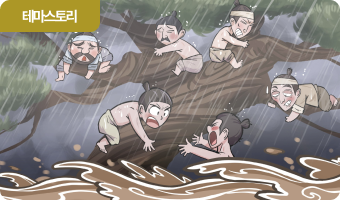 장마 때 마을사람들의 목숨을 구해준 고성 마송나무