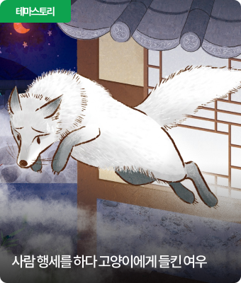 사람 행세를 하다 고양이에게 들킨 여우