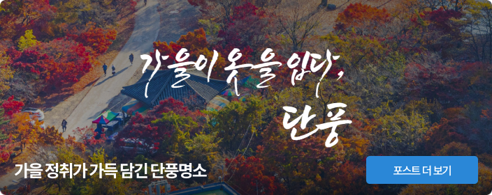 가을 정취가 가득 담긴 단풍명소
