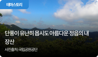 단풍이 유난히 몹시도 아름다운 정읍의 내장산