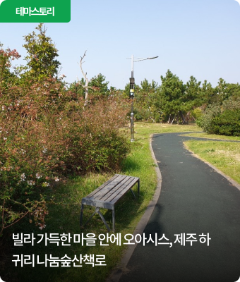 빌라 가득한 마을 안에 오아시스, 제주 하귀리 나눔숲산책로