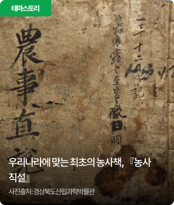 우리나라에 맞는 최초의 농사책, 『농사직설』